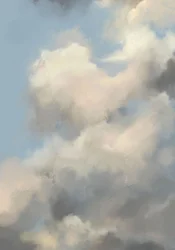 Skies