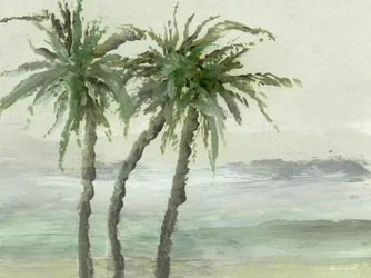 Windy Palms