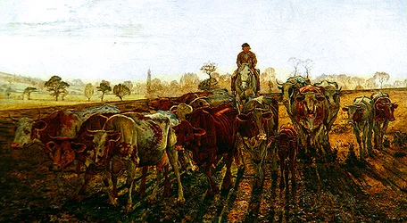 Cows Going Home