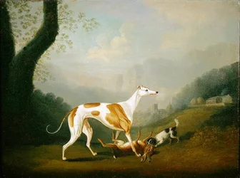 Greyhound with a Spaniel Puppy and Dead Hare