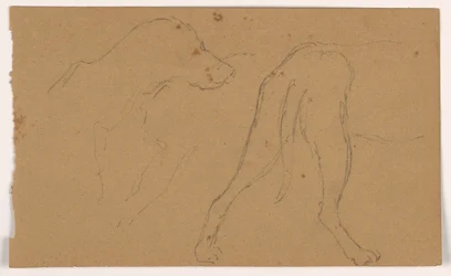 Milo (a Pointer), Head and Body, ca. 1862