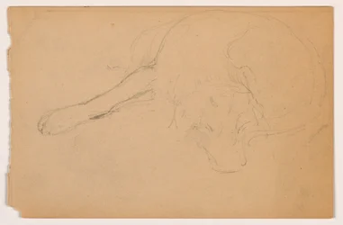Miol (a Pointer), ca. 1862