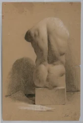 Male Torso From a Plaster Cast