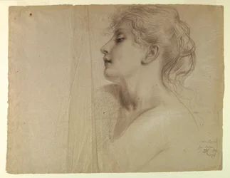 Mrs. Levicz as Peace, Study for 