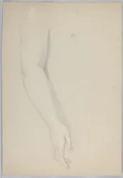 Study of an Arm for 