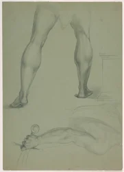 Two Partial Anatomical Studies