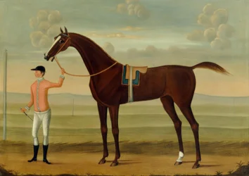 A Bay Racehorse with His Jockey on a Racecourse