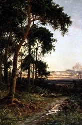 The Woodland Path