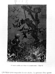 Illustration for 