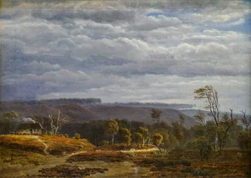 A View of a Wooded Landscape in Jutland