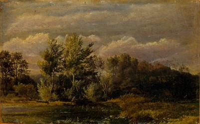 A forest lake surrounded by birches. Study.
