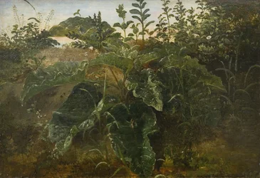 Foreground Study with Dock Leaves