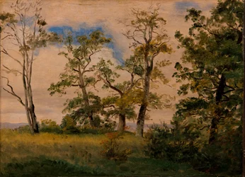 Landscape with free-standing trees