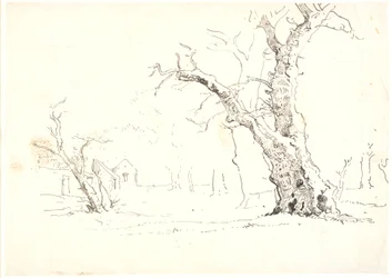 Landscape with Large Oak Trees, Some Houses to the Left