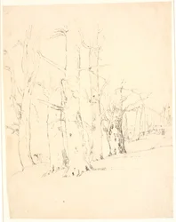 Study of a Row of Heavy Tree Trunks
