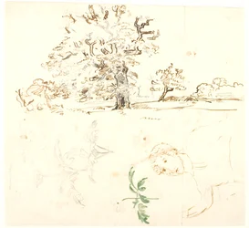 Studies of Oak, Buttercup Leaves, etc.