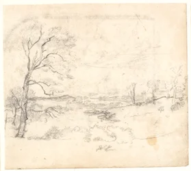View Over a Hilly and Wooded Landscape