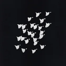 Abstract Bird Flight