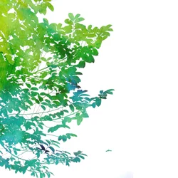 Abstract Watercolor Leaves