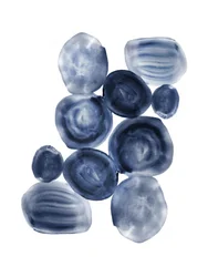 Fluid Blue Forms