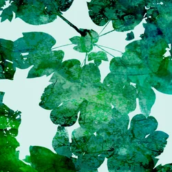 Layered Green Leaves