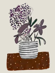 Purple Potted Flowers