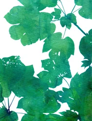 Vibrant Green Leaves