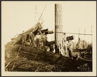 Loggers