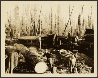 Loggers