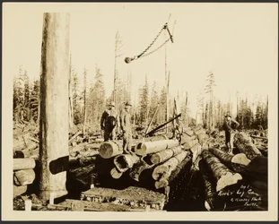 Logging/Timber Scene