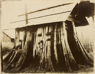 Residence of an Early Settler in Washington