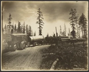 Threshing Machine Engine Hauling Five Wagon Loads of Logs