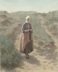 In the Dunes at Zandvoort