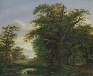 Oak Wood, 1847