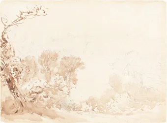 Hillside and Trees