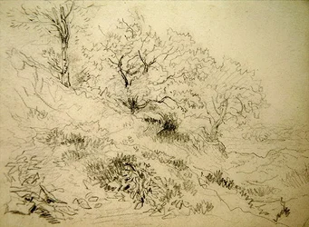 Welsh Landscape