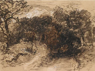 A Hollow Lane near Harborne, Derbyshire