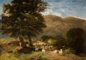Tending Sheep, Bettws-y-Coed