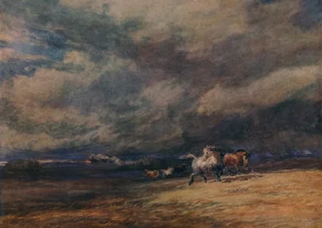 The Night Train