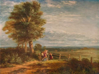 The Skylark