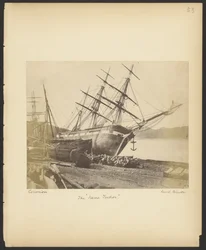 The Jane Tudor