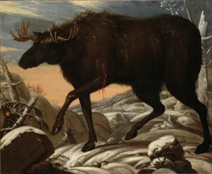 Moose