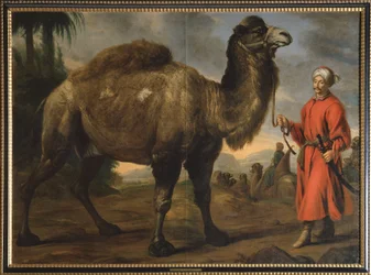 Camel with Handler