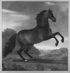 Charles XI