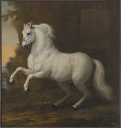 Charles XI
