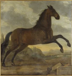 Charles XI