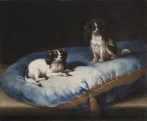 Two Smaller Dogs