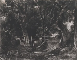 A Dell, Helmingham Park, Suffolk
