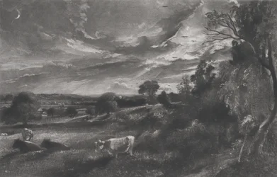 Summer Evening