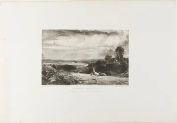 Summer Morning